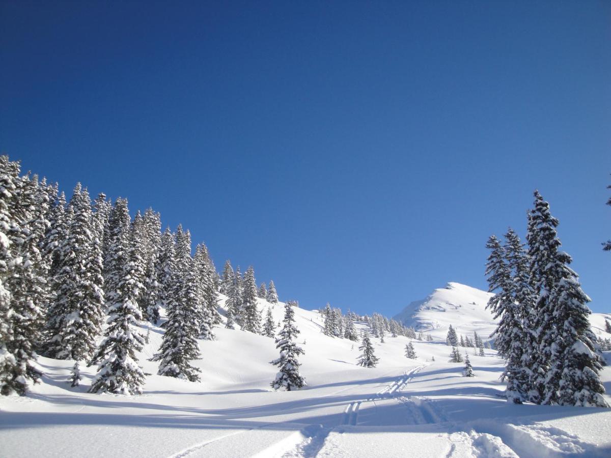 Apart Timeout Hart im Zillertal Exteriér fotografie